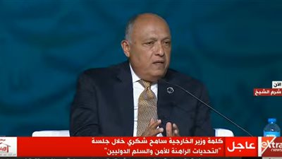 وزير الخارجية سامح شكري يجري اتصالين هاتفيين مع نظيريه الفرنسي والألماني