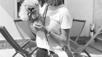 “جريفون بلجيكي”.. اتهام كلب في بلاغ رسمي والشاكي زوجة تامر حسني