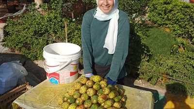 قناة “TeN” تعلن تخصيص راتباً شهرياً ودورة تدريبية لـ”فتاة التين الشوكي” (فيديو)