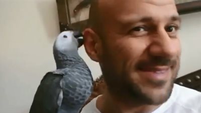 أحمد مكي يحيي جمهوره برفقة أحد الطيور: “زينهم بيصبح” (فيديو)