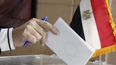 تعرف على خطوات الاقتراع لانتخابات مجلس الشيوخ للمصريين في الخارج