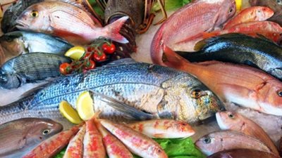 أسعار السمك اليوم الأحد 26 يوليو 2020 في الأسواق المصرية