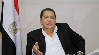 مرشح الشيوخ بالقاهرة: التواصل مع “عائلات الصعايدة” في بداية الدعاية