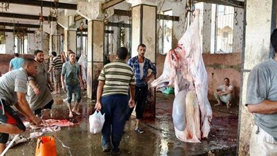 مدير مجزر البساتين: فحص طبى للأضاحي قبل الذبح.. ولا يوجد أختام خلال العيد (فيديو)