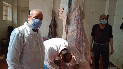 مجازر القليوبية تستقبل الأضاحي بالمجان في أول أيام العيد.. والدخول بالكمامة