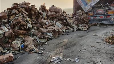 ضبط 142 طن أسماك غير صالحة للاستخدام الآدمي في بني سويف