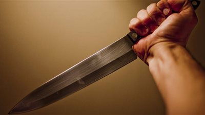 عامل يقتل شقيقه ويصيب أخته بسبب خلاف على توزيع لحم الأضحية في البحيرة