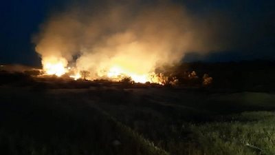 السيطرة على حريق الأراضي الزراعية بمركز منوف في المنوفية