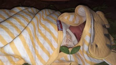 العثور على رضيع مجهول الهوية بجوار ترعة في قنا 