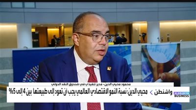 محيي الدين: نمو الاقتصاد العالمي متواضع ويخفي تفاوتات حادة بين البلدان المختلفة