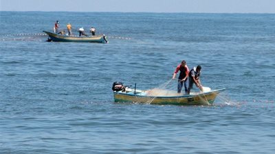 الخطوات والأوراق المطلوبة لإنشاء مزرعة سمكية .. تعرف على التفاصيل
