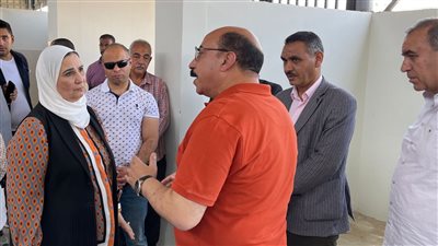 التضامن توفر قروضا ميسرة للعمالة غير المنتظمة المنتقلة لسوق الأحمدية بأسوان 