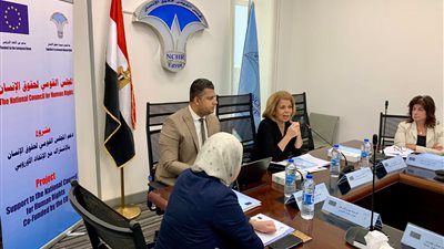 رئيس اقتصادية حقوق الإنسان: لا بد من توفير بيئة مناسبة لريادة الأعمال 