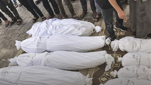 الحرب على غزة 