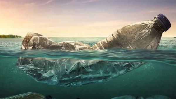 يوم الأرض العالمي