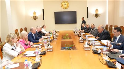 مصر وإيرلندا تؤكدان حتمية وقف إطلاق النار في غزة ومنع اتساع رقعة الصراع