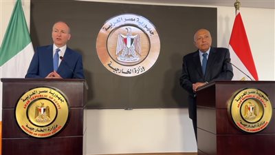 وزير الخارجية: لا يمكن أن يتحمل الضمير العالمي استمرار القتل في غزة 