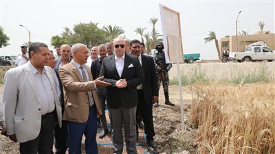 محافظ بني سويف: توريد 19 ألف طن قمح منذ بداية الموسم 
