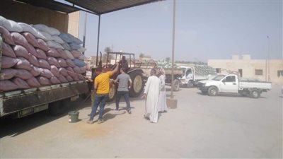 توريد 12213 طنا من محصول القمح بالشون والصوامع الحكومية بمراكز المنيا