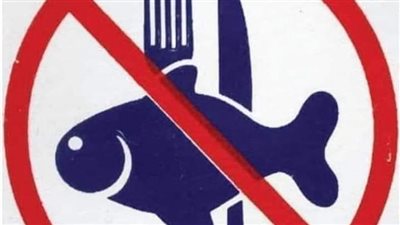 لمدة أسبوع.. الإسكندرية تنضم لحملات مقاطعة الأسماك لحين تراجع الأسعار