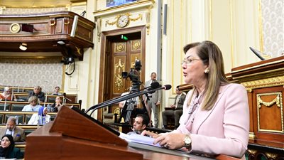 وزيرة التخطيط: 136 مليار جنيه استثمارات قطاع البترول والغاز الطبيعي في خطة العام المقبل