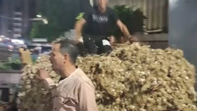 ارتفاع أسعار الثوم| الكيلو بـ 40 جنيها بأسواق طنطا.. وتاجر ينصح ربات البيوت بشرائه | بث مباشر 