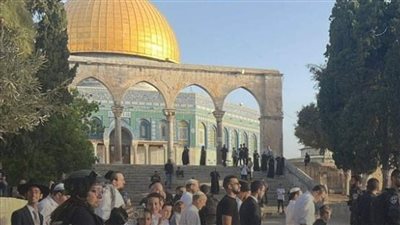 الأزهر يحذر: 4151 مستوطنا يقتحمون الأقصى خلال عيد الفصح العبري