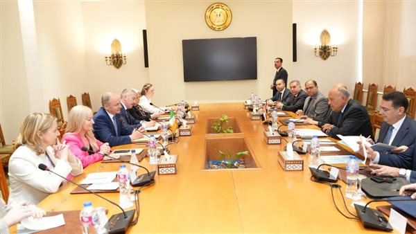 شكري ونظيره الأيرلندي