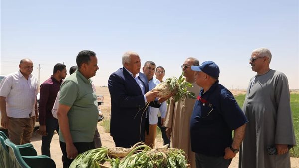 محافظ الوادي الجديد