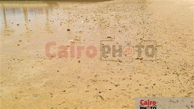 تراجع وانحسار مياه البحر على شواطئ الغردقة بسبب المد والجزر| صور وفيديو