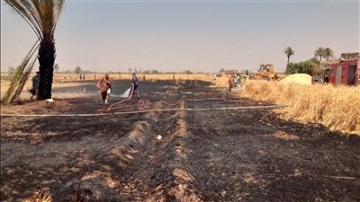 نشوب حريق في سطح حوش و5 نخلات بأسوان بسبب سوء الأحوال الجوية 