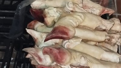 كوارع وكبدة وفسيخ.. ضبط 22 طن أطعمة فاسدة في القاهرة | صور 