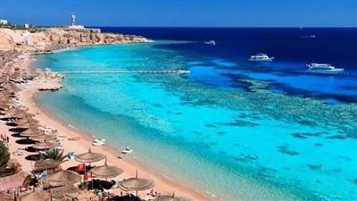 رئيس شعبة الفنادق: 4 خطوات لتنشيط سياحة المخيمات والسفاري