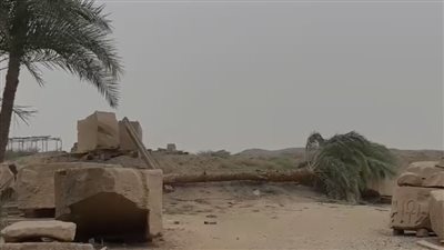 سقوط نخلتين بمعابد الكرنك إثر عاصفة ترابية شديدة ضربت الأقصر| صور وفيديو