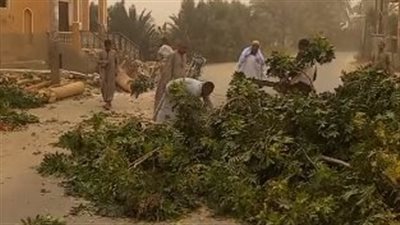 الشجر وقع.. عاصفة ترابية شديدة تضرب الأقصر وأسوان| بث مباشر 