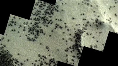 بعد ظهور عناكب المريخ.. ما سبب حدوث هذه الظاهرة الغريبة؟