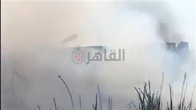 نشوب حريق بإحدى قرى محافظة المنيا.. والأهالي يتمكنون من السيطرة عليه دون وقوع إصابات| صور