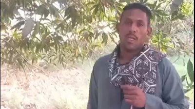 مُزارع بعد العاصفة الترابية بالأقصر: نص محصول المانجه طار | بث مباشر 