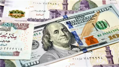 بعد ارتفاعه أمس.. سعر الدولار اليوم الاثنين 22 يوليو 2024 بالبنوك