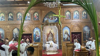 النخيل يزين الكنائس.. الأقباط يؤدون قداس أحد الزعف ببورسعيد| صور
