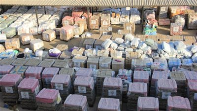  1371 طنًا.. التضامن تطلق قافلتين في أسبوع واحد لقطاع غزة بقيمة 28.5 مليون جنيه