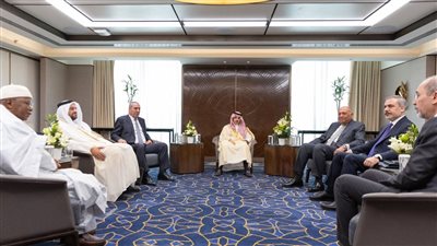 بحضور مصر.. مباحثات عربية إسلامية تطالب بوقف تصدير السلاح إلى إسرائيل