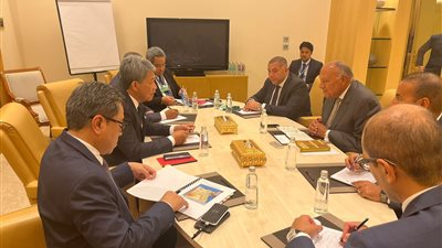 وزير الخارجية يلتقي نظيره الماليزي على هامش فعاليات المنتدى الاقتصادي العالمي 