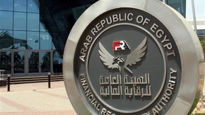 الرقابة المالية تعدل بعض ضوابط ممارسة نشاط تمويل المشروعات متناهية الصغر