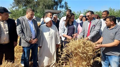 نائب محافظ البحيرة تتابع حصاد محصول القمح بقرية نديبة وانتظام التوريد للشون والصوامع