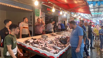 أسعار الأسماك اليوم الاثنين 16 سبتمبر 2024 في الأسواق