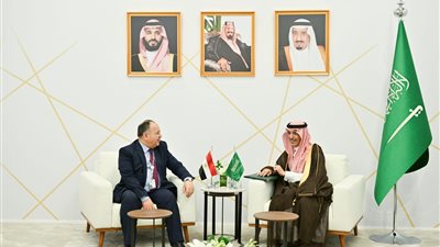 وزير المالية: ندعو أشقاءنا للاستثمار في مصر والاستفادة من حوافز الإنتاج والتصدير