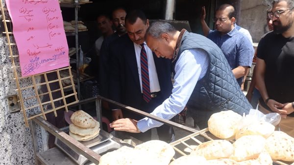 محافظ القليوبية 