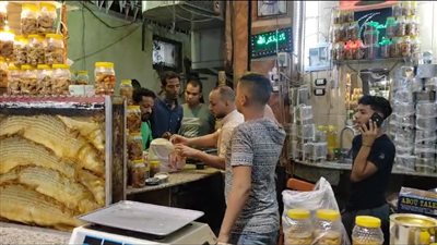 كلب البحر الأشهر.. الفسيخ الأسواني يغزو السوق قبل أعياد شم النسيم 