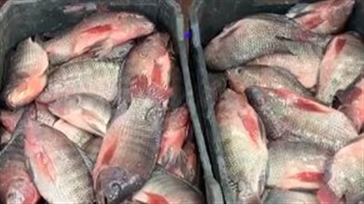 أسعار الأسماك اليوم الاثنين 24 فبراير 2025 في الأسواق